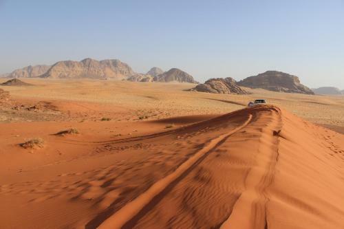 Wadi Rum Green Desert