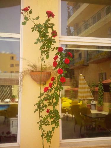 Mariam Hotel