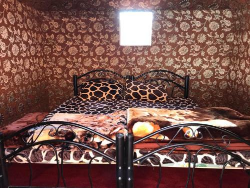 Nights With Bedouin & Jeep Tours