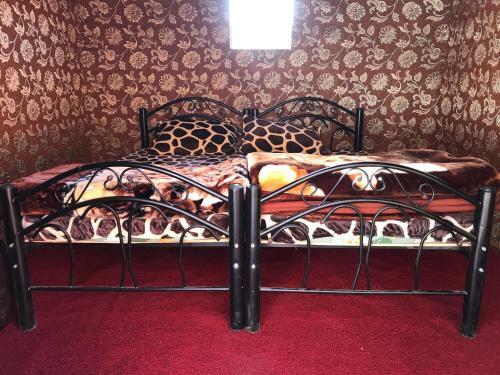 Nights With Bedouin & Jeep Tours