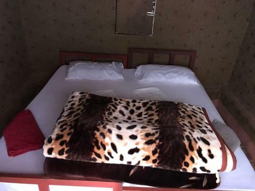 Bedouin Tours Camp