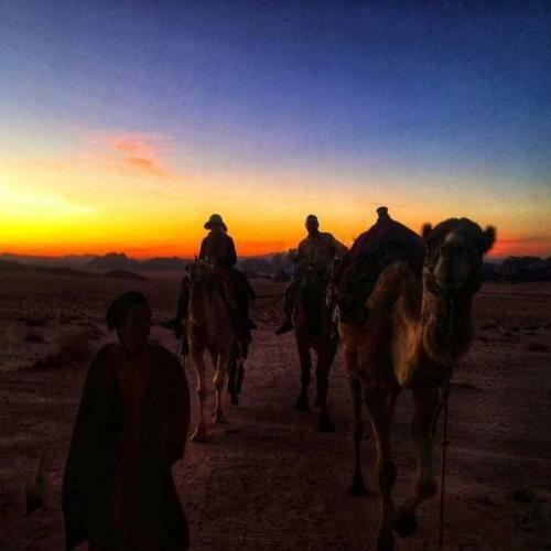 Bedouin Tours Camp
