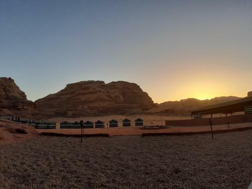 Bedouin Tours Camp