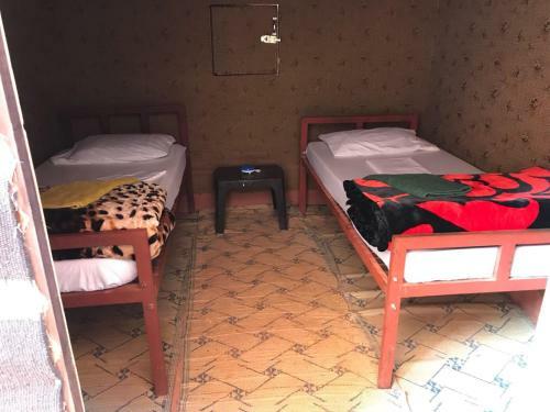 Bedouin Tours Camp