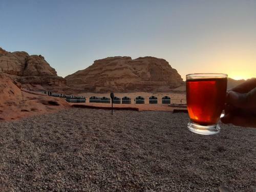 Bedouin Tours Camp