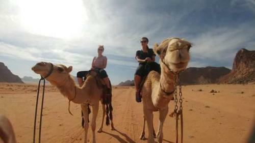 Bedouin Tours Camp