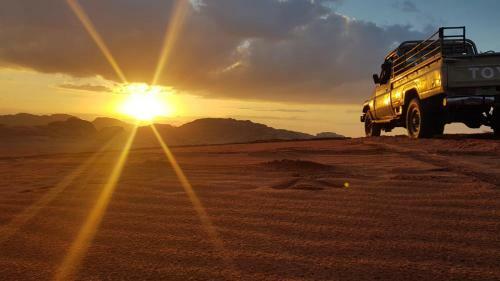 Bedouin Tours Camp
