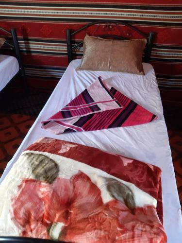 Bedouin Tours Camp
