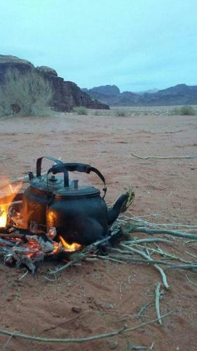 Bedouin Tours Camp