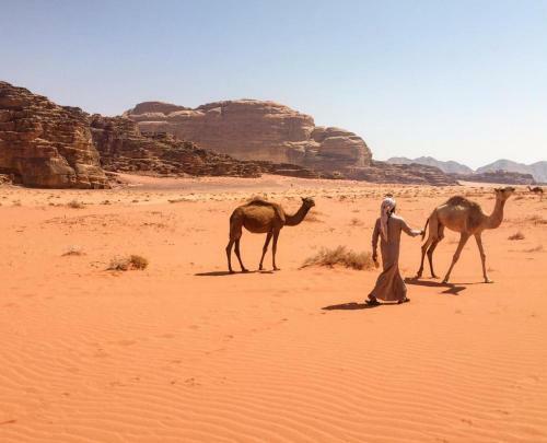 Desert Melody