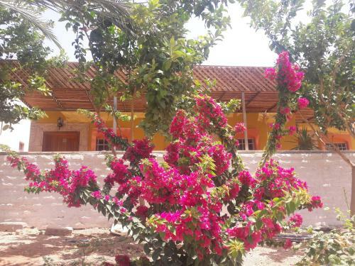 Hotel Darna Divers Village