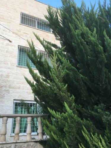 Dabouq Luxury Spacious Fully Furnished Apartment