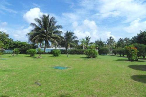 Apartamento Turtle Beach Towers Apt 22 C - Ocho Rios