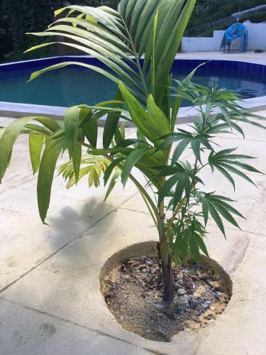 Apartamento Tha Lagoon Spot