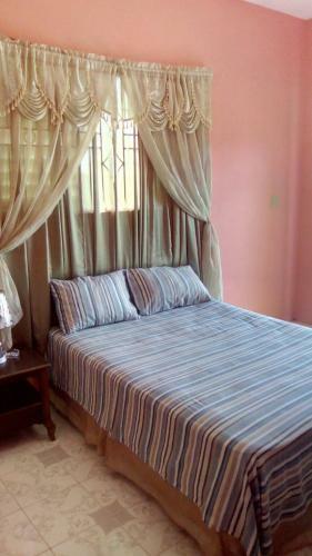 Hostal Orchard View