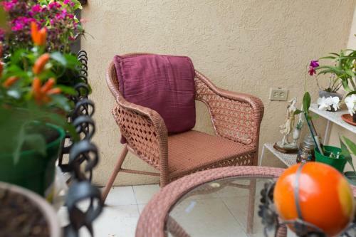 New Kingston Guest Apartment At Inglaterra I