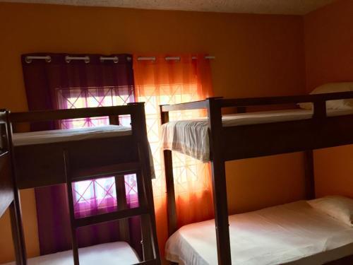 W Hostel