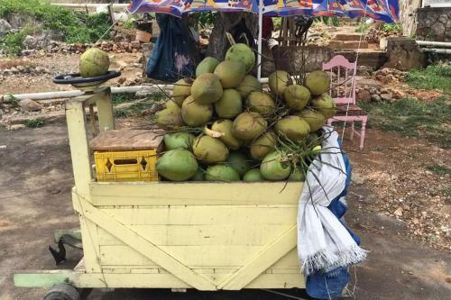 Luxury 2br Home Facing Beach W/pool Montego Bay #4