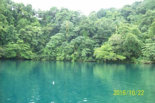 Bed & Breakfast Wataview