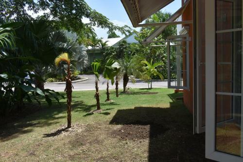 Apartamento Irie Vibes