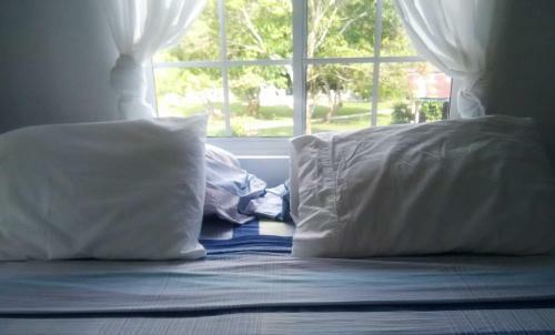 Hostal Cozy Coco Guest House