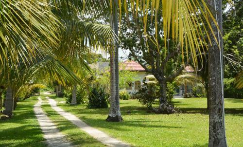 Hostal Cozy Coco Guest House