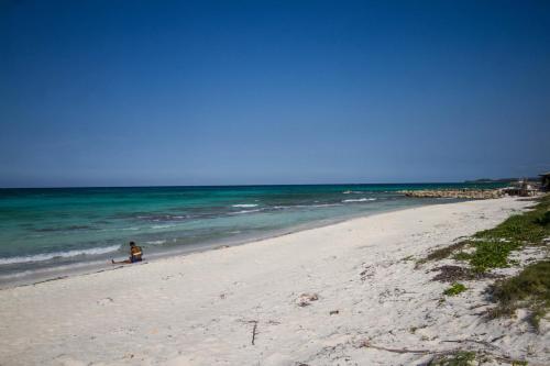 Beach Villa Yellow Canary