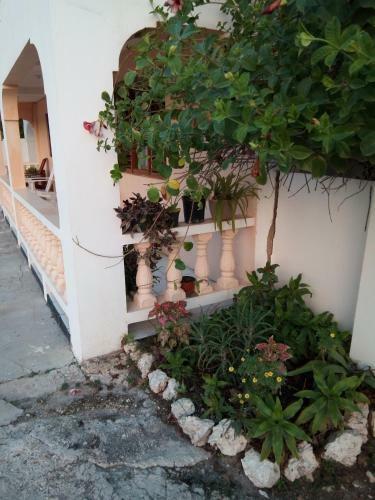 Blossom Bed And Breakfast