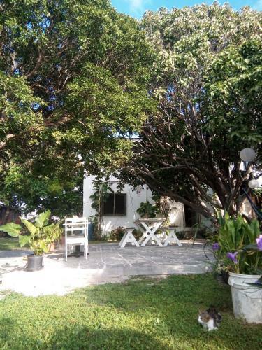 Blossom Bed And Breakfast