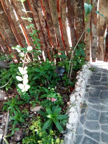 Blossom Bed And Breakfast