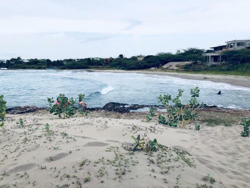 Turtles Nest Villa
