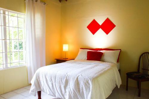 Hostal Cedar Lodge Jamaica
