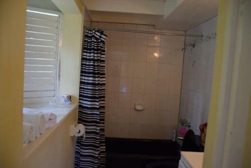 Pent House Apartment