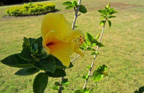 Agroturismo Morning Glory Villas