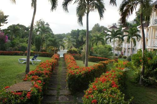 Apartamento Blue Suites