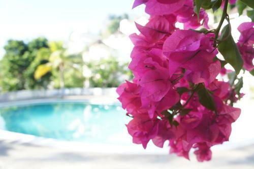 Apartamento Blue Suites