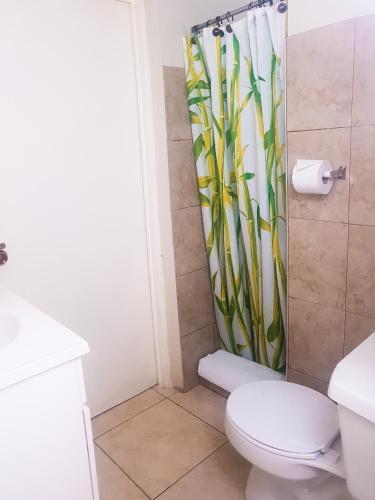 Eventuality B&B New Kingston
