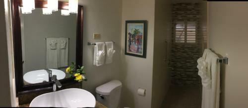 Apartamento Renfrew Suite