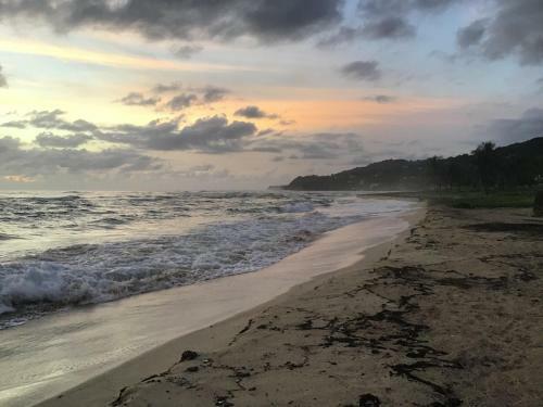 Hostal Shores A' Swell