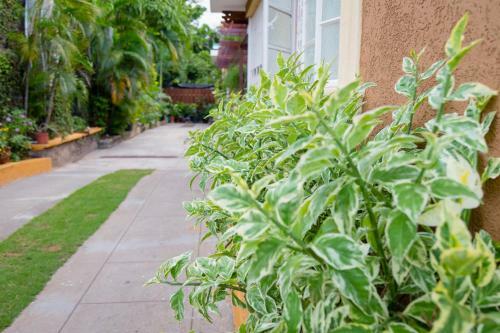 Apartamento Gardens Of Bliss
