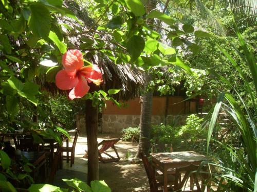 Hotel Lo C�smico