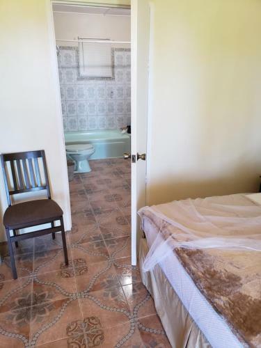 Albergue Viva Violas