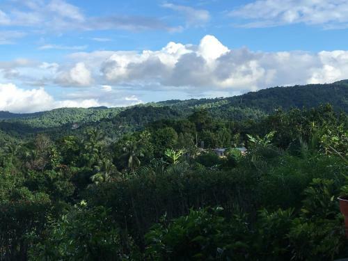 Treetops Villa