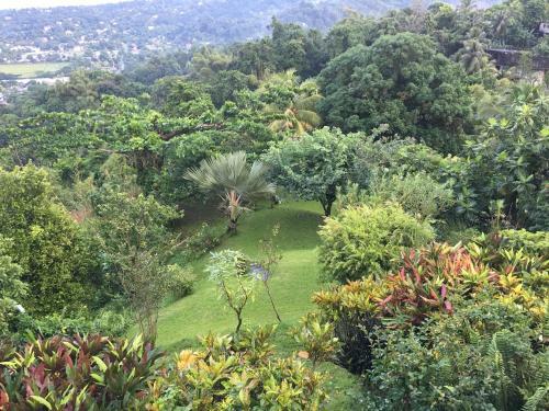 Treetops Villa
