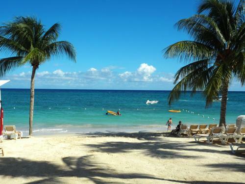 Apartamento Crystal Palm