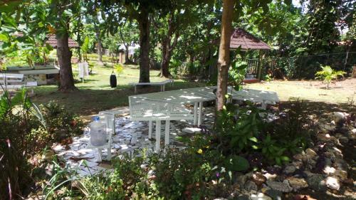 Bed & Breakfast La Cousins Bnb