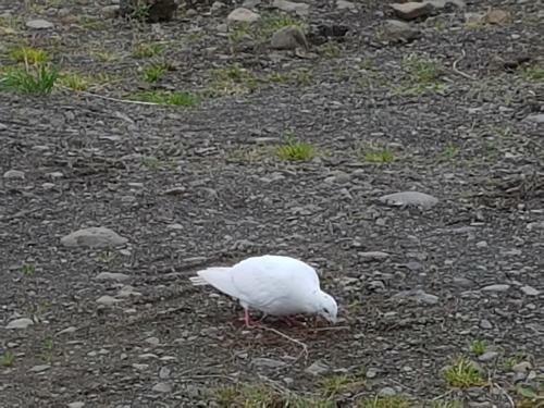 Agroturismo Mi�janes Reykh�lahrepp