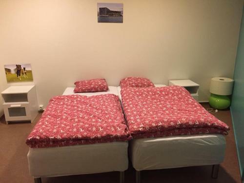Retro Hostel