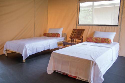Chazal Ecotourism