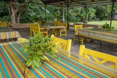 Chazal Ecotourism